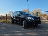 Mercedes-Benz ML 350 4MATIC - - Mercedes-Benz ML 350 mit Benzin-Antrieb
