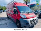 Fiat Ducato Grossr.-Kasten 33 120  L4 - Fiat Ducato in Mannheim