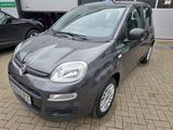 Fiat Panda Easy Klima EFH TOP ! - graue Fiat Panda