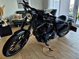 Harley-Davidson Sportster / Iron 883 - HARLEY-DAVIDSON 2009 883