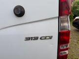 Mercedes-Benz Sprinter II Kasten 313 CDI, 1H, AHK, Maxi,134Tkm - Mercedes-Benz Sprinter in Rostock