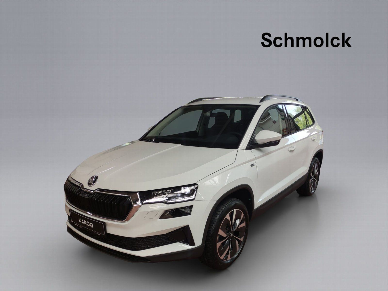 Skoda Karoq Tour 2.0 TDI DSG 4x4 AHK NAVI ALLRAD LED