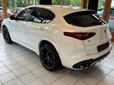 Alfa Romeo Stelvio Quadrifoglio Q4 |HARMAN-KARDON|ACC|LED| - Alfa Romeo aus 2018
