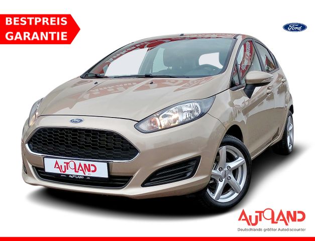 Ford Fiesta 1.25 Klima Tagfahrlicht USB PDC