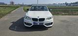 BMW 220i Cabrio M-Lenkrad, Navi, Kamera, CZ, Hifi,  - BMW 220 in Frankfurt (Main)
