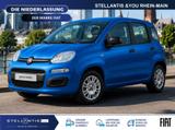 Fiat Panda Icon Klima PDC - Fiat Panda Neuwagen mit Benzin-Antrieb