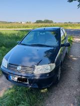 Fiat Punto 1.2 8V - - Fiat Punto Gebrauchtwagen in Nürnberg
