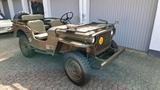 Jeep willys - Jeep Willys in Bonn