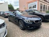 BMW 440i Cabrio Sportline Leder Navi Deutsch - BMW 440: Cabrio