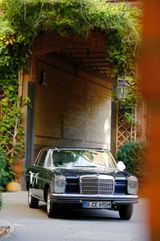 Mercedes-Benz  250 CE (W114) /8 Coupé Automatik, Servo, SDD - Mercedes-Benz 250 mit Benzin-Antrieb: Coupé
