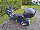 Honda Forza 300 - Honda Motorräder in Köln