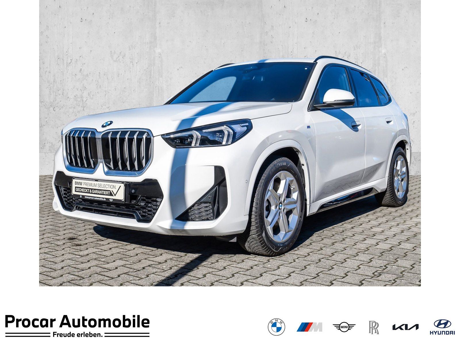 BMW X1 xDrive23d M Sport AHK Pano Memory DA+ H/K RFK