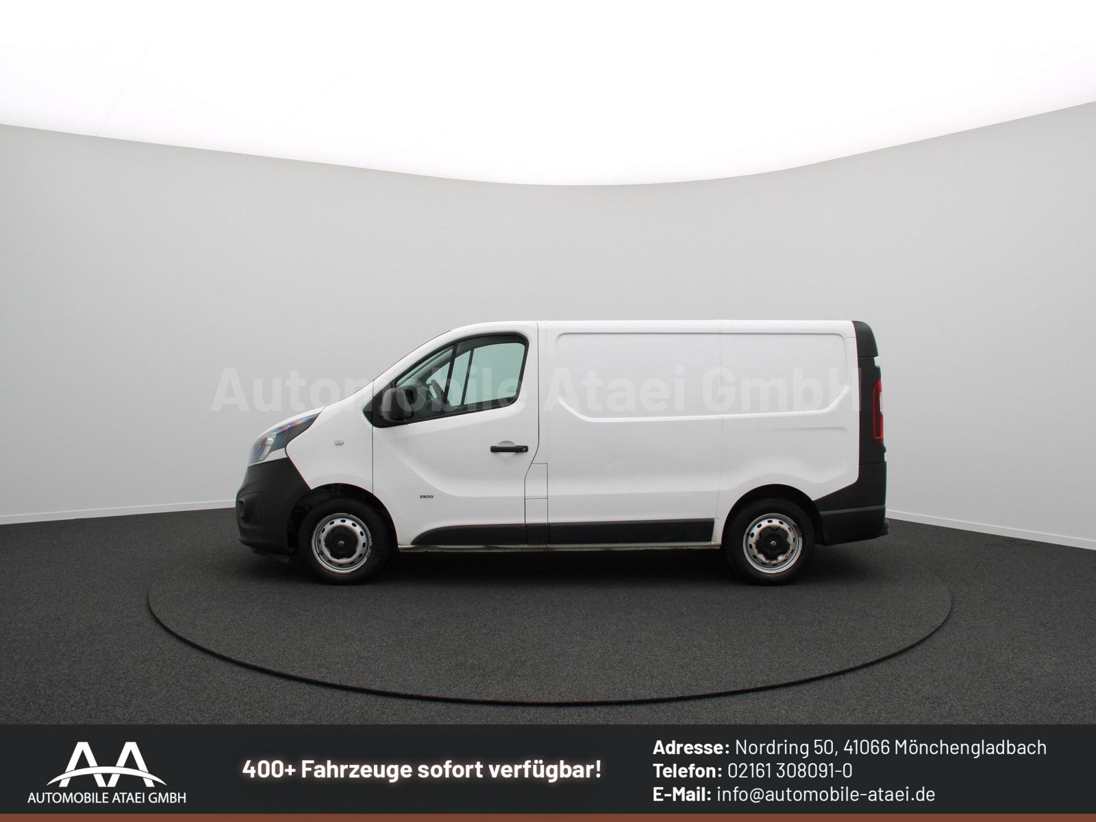 Fahrzeugabbildung Opel Vivaro Kasten L1H1 2,9t 8075