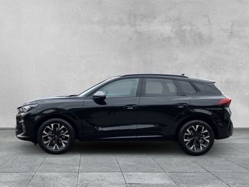Cupra Terramar - 2