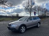 Skoda Octavia Combi Scout 2.0TDI 4X4 Xenon SiH AHK PDC - Skoda Octavia aus 2008: Scout