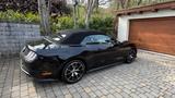 Ford Mustang Ecoboost, ehemaliger Ford Werkswagen - Ford Mustang: For