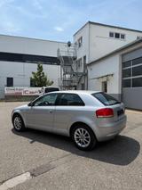 Audi A3 1.6 Benzin | TÜV 06/2028 | 2. Hand  - Audi A3 aus 2003: 1.6
