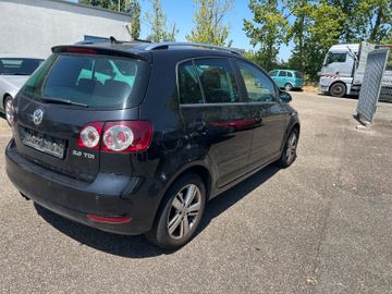 Volkswagen Golf Plus - 6