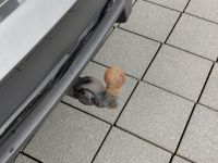 Audi SQ5 - Vorschau Bild 20