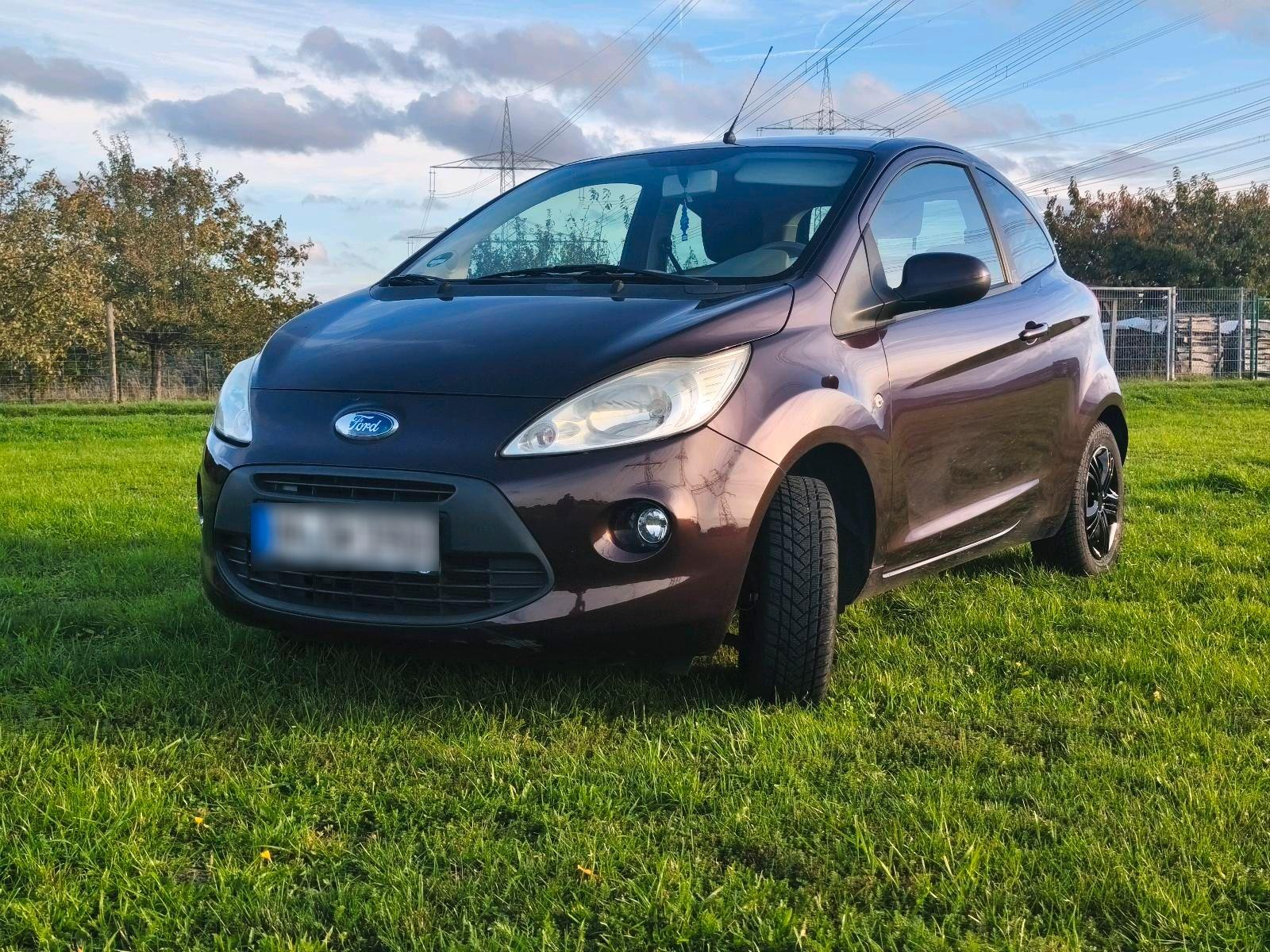 Ford Andere