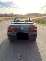 Volkswagen Cabri, Golf 1.6 TDI, BMT, XENON, Vollleder, Alu, - Volkswagen Golf aus 2011: 1.6