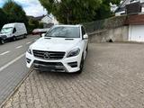 Mercedes-Benz Mercedes ML 350D AMG Paket Standheizung - Mercedes-Benz ML 350 in Frankfurt (Main)