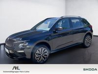 Skoda Kamiq - Vorschau Bild 1