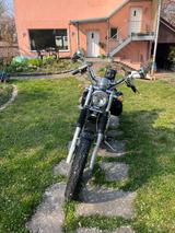 Suzuki Intruder VS 800 - Angebote