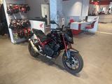 Honda CB750 Hornet mit Quickshifter *nur 737km* - HONDA NAKED BIKE
