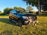 Mercedes-Benz Mercedes ML250 , AMG, Harman-Kardon,Bi-Xen... - Mercedes-Benz ML 250 aus 2013