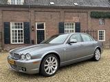 Jaguar XJ Executive 4.2 V8 - Jaguar XJ: 4.2