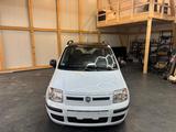 Fiat Panda 1.2 8V Dynamic - Fiat Panda: Dynamic