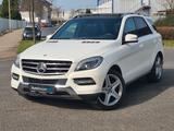 Mercedes-Benz ML 350 CDI BlueTec*AMG-LINE*Autom*Pano*Xenon*RFK - Mercedes-Benz ML 350 mit Diesel-Antrieb