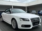 Audi S5 Cabriolet 3.0 TFSI quattro | S Sportsitze - Audi S5: Cabrio