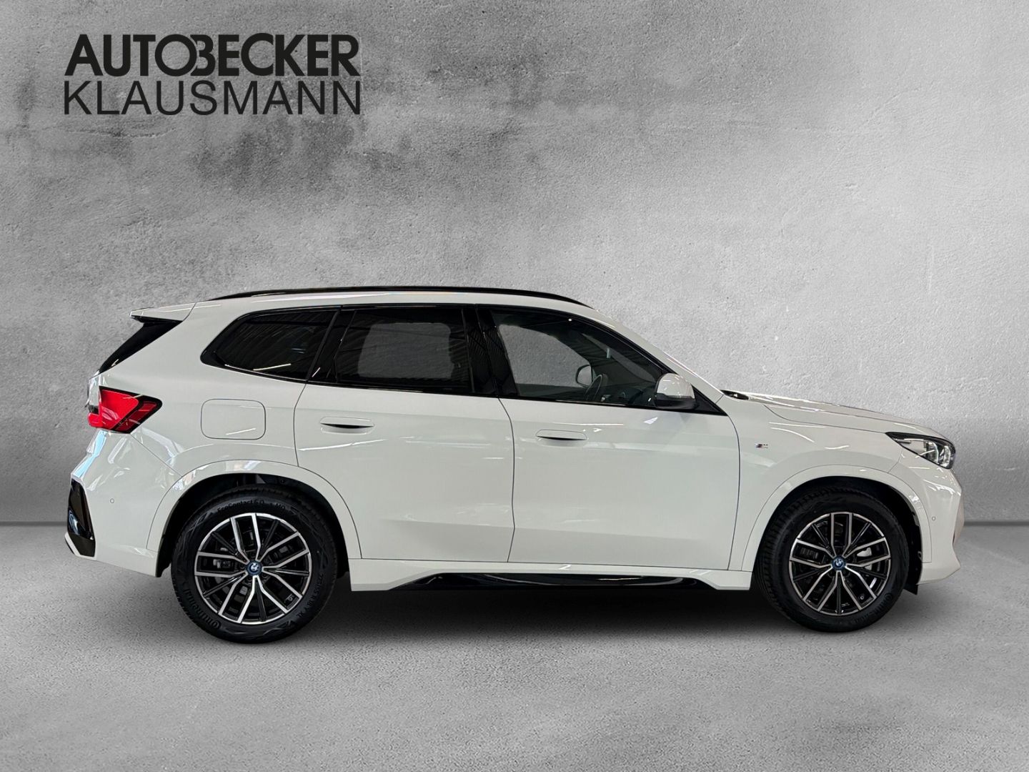 BMW X1 xDrive30e M Sport 18''LC PROF HuD AHK 360°PAR foto 4