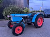 Eicher Grafenauer - Offers matching your search criteria