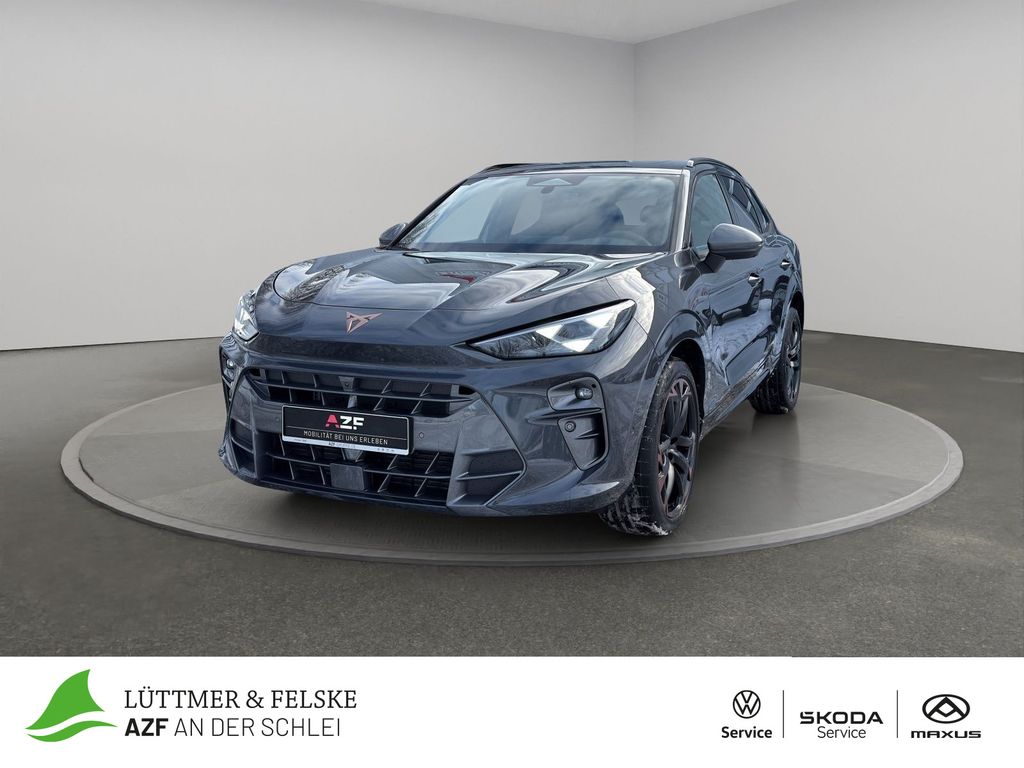 Image of Cupra Terramar