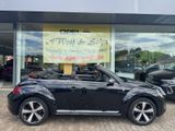Volkswagen Beetle Cabriolet Karmann +KAMERA+NAVI+PDC+SHZ+ - Volkswagen Beetle aus 2017