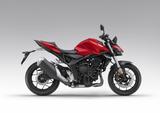 Honda CB1000 Hornet Garantie bis 11/2031 - Offers