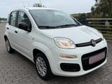 Fiat Panda Easy 1 Hand 51kW - Fiat Panda EASY mit Benzin-Antrieb