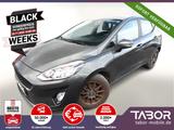 Ford Fiesta 1.0 EcoBoost 100 Vignale SHZ Temp Klima - Ford Fiesta: Vi