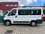 Peugeot Boxer Kombi 333 L1H1 Active Blue-HDi 110 1.HAND - Peugeot Boxer: L3