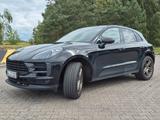 Porsche Macan 2.0 PDK LED BOSE Panoramadach - gebrauchte Porsche Macan aus dem Jahr 2021