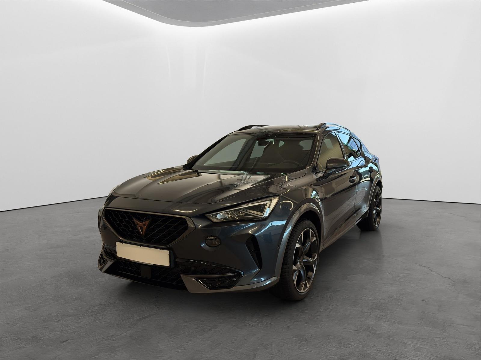 Cupra Formentor 2.0 TSI DSG 4Drive VZ LED NAVI ACC SID, миниатюра 2