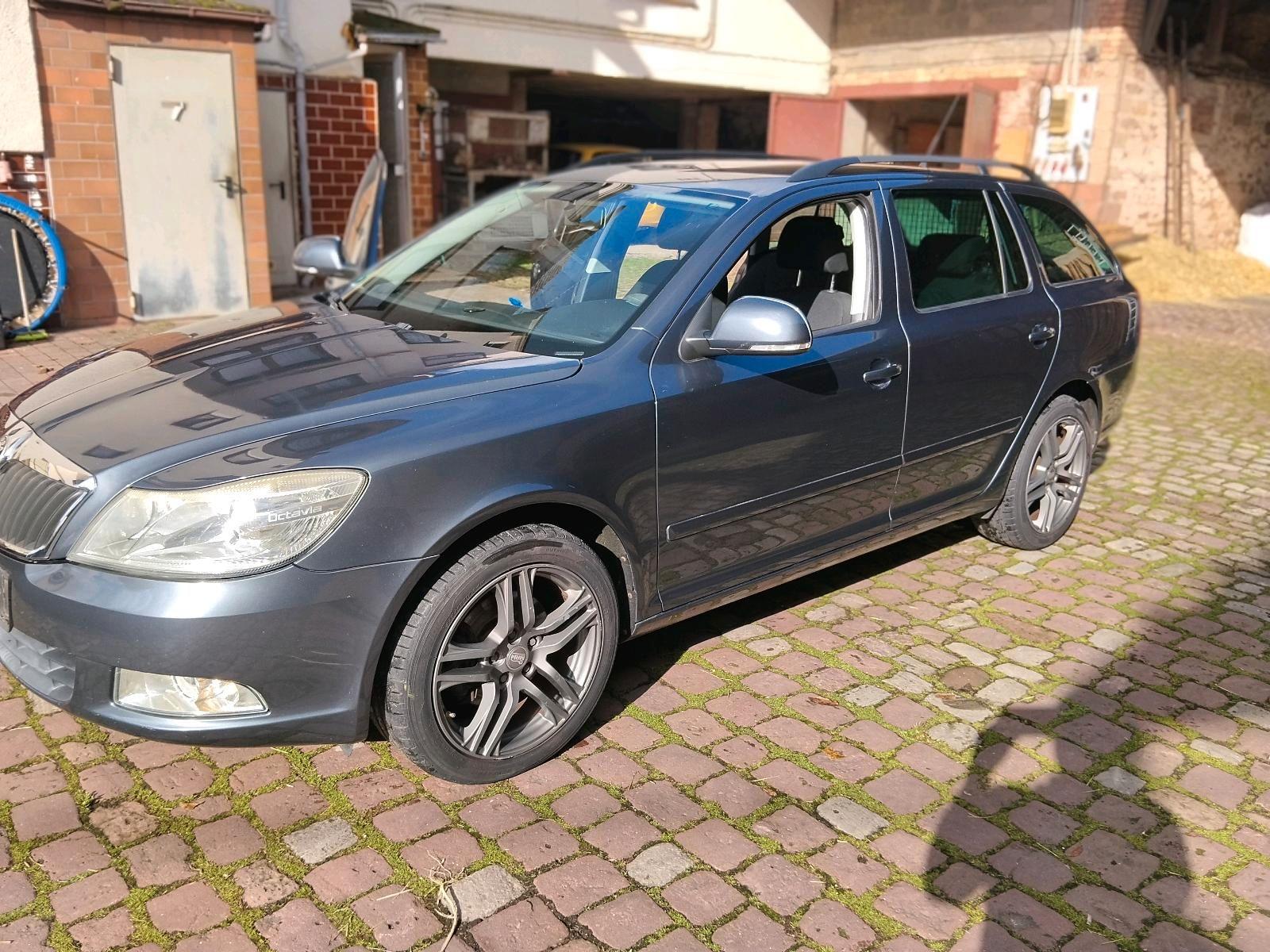 Skoda Octavia 2009 — rear view