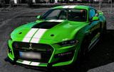Ford Eyecatcher!Ford Mustang 2.3l EcoBoost,hell... - Ford Mustang in Saarbrücken