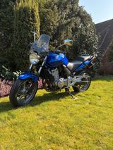 Honda CBF 500 blau in sehr gutem Zustand (PC39) - Angebote entsprechen deinen Suchkriterien