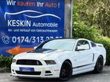 Ford Mustang 5,0 GT CS*XENON*LEDER*ALU*SUPER OPTIK* - Ford Mustang: Cs