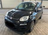 Fiat Panda 1.2 Young -solo km 21000- - Fiat Panda: Young