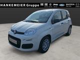 Fiat Panda Pandina ICON 1.0 GSE Hybrid-Klima*PDC*Temp - Fiat Panda in Hamm